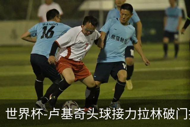 世界杯-卢基奇头球接力拉林破门扳平 加拿大1-1波黑